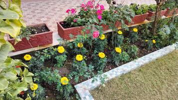 إطلالة على الحديقة