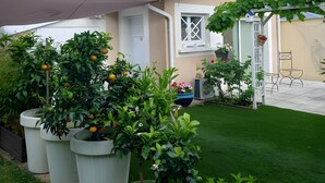 Una casa con jardín, plantas en macetas, una puerta blanca y una ventana.