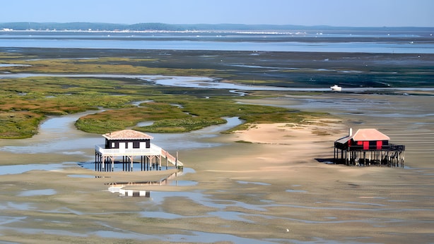Dos estructuras frente al agua, con espacios abiertos, rodeadas de un paisaje pantanoso y una costa distante.