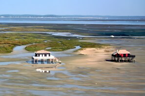 Two waterfront structures with open sides, surrounded by a marshy landscape and a distant shoreline.