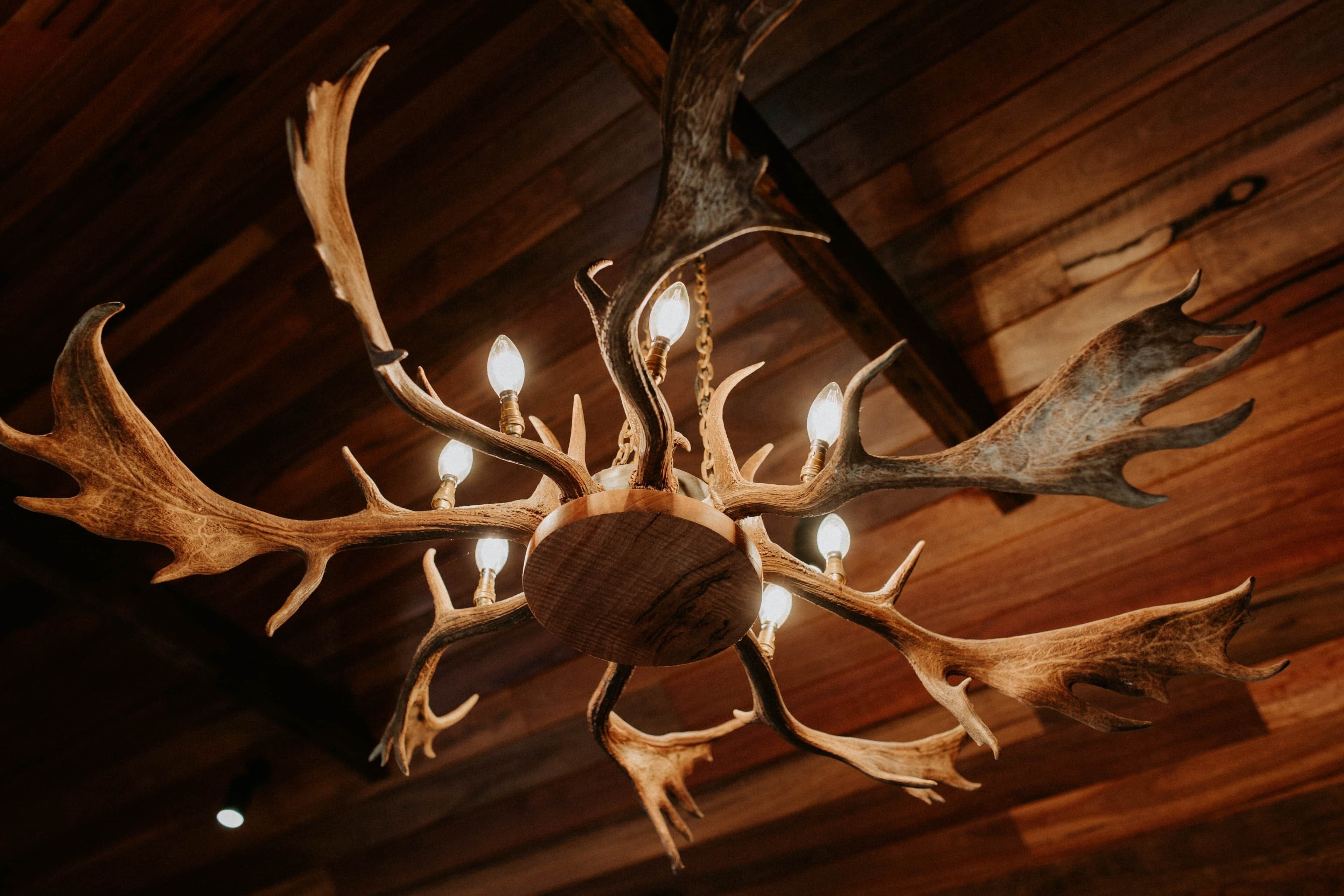 A chandelier with antler-shaped light fixtures.