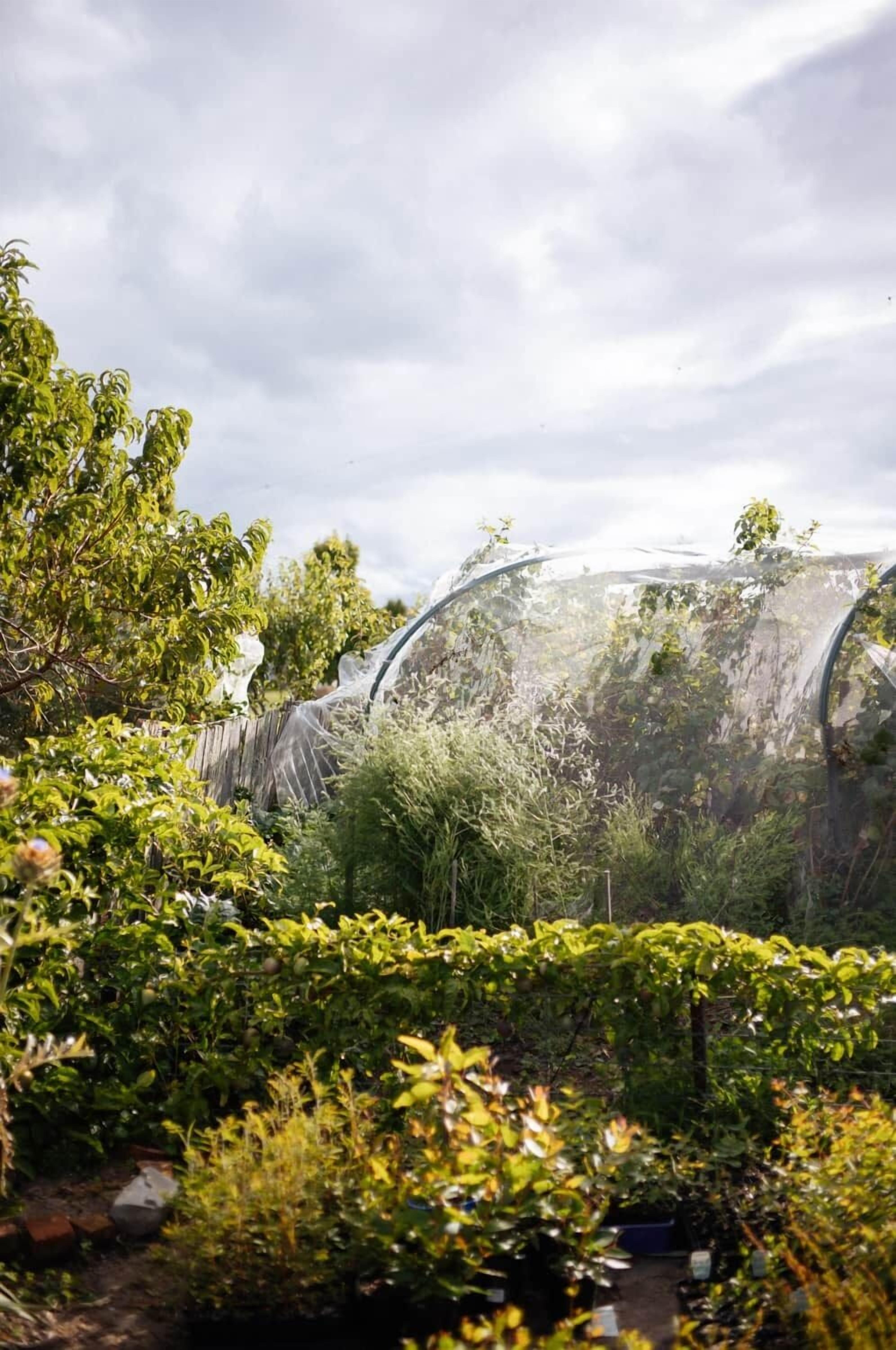 Área da propriedade