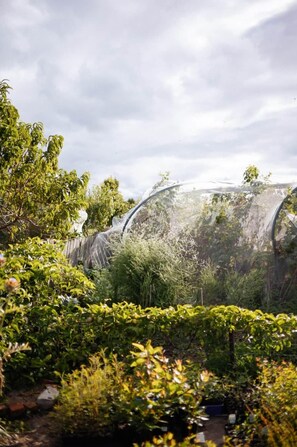 Área da propriedade