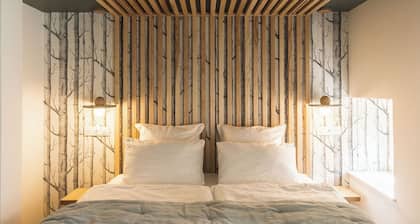 Maison 5* avec Spa Privatif - 3 suites - prĂšs de Nancy - 6 pers
