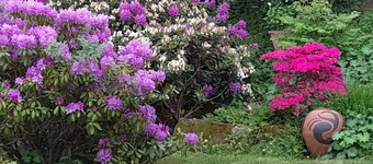 Lentz Apartment in the House for the Development of the Arts