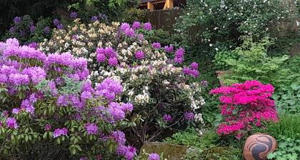 Ferienwohnung 'Lentz' im Haus für Entfaltung der Künste