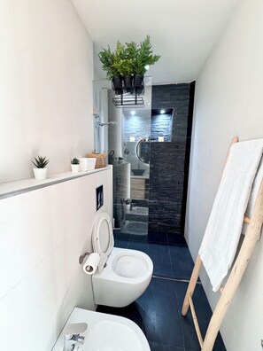 淋浴设施、吹风机、毛巾、卫生纸