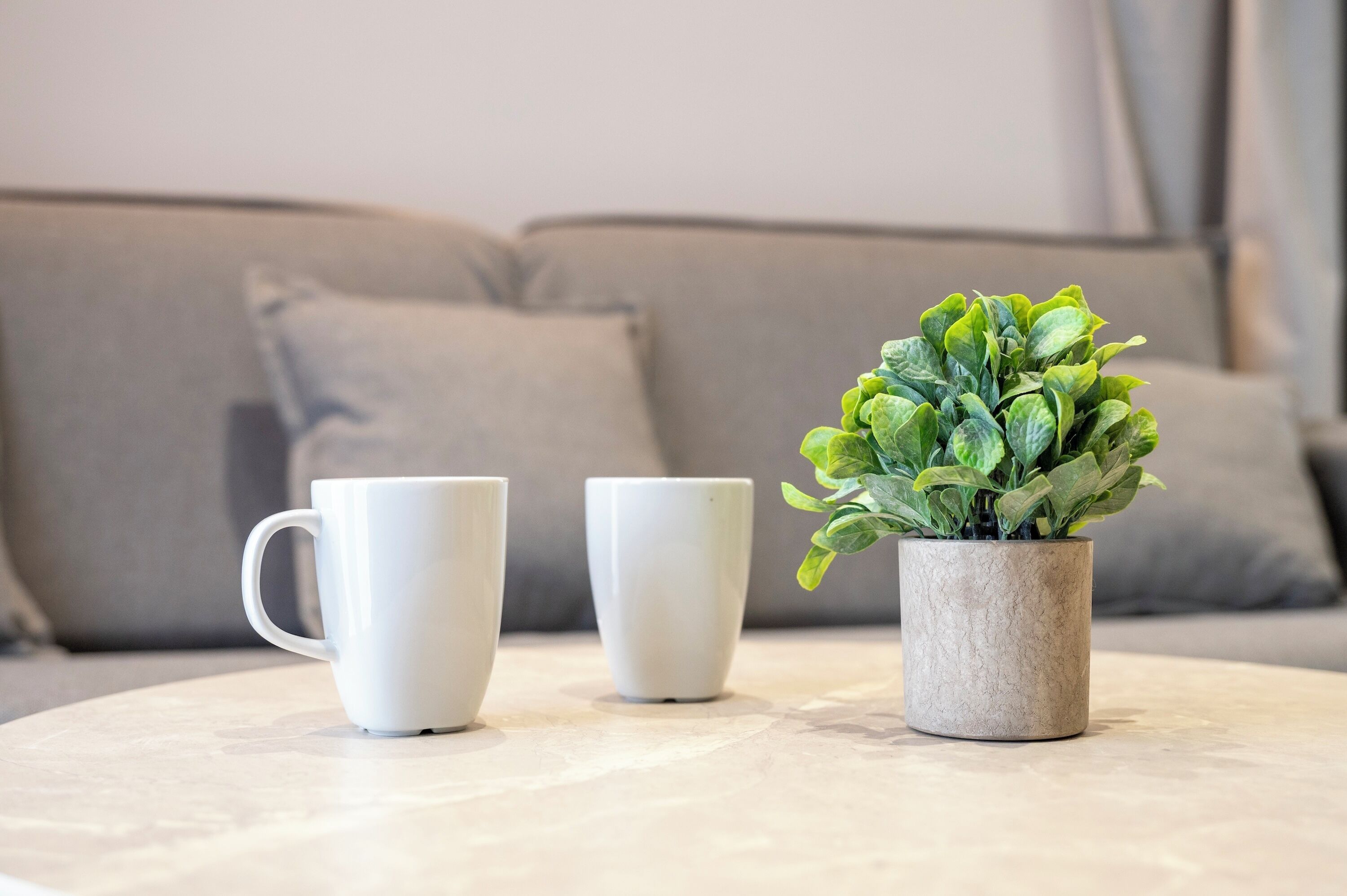 Uma mesa com duas canecas brancas e um vaso de planta.