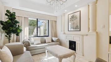 TV, fireplace, books