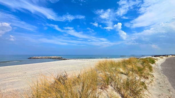 Una playa con dunas de arena y cielo despejado.