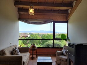 تلفزيون، مدفأة