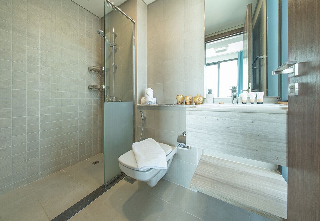 Shower, free toiletries, hair dryer, bidet