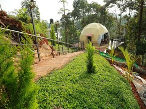 Property grounds - MunnarGlamp Munnar (Munnar)