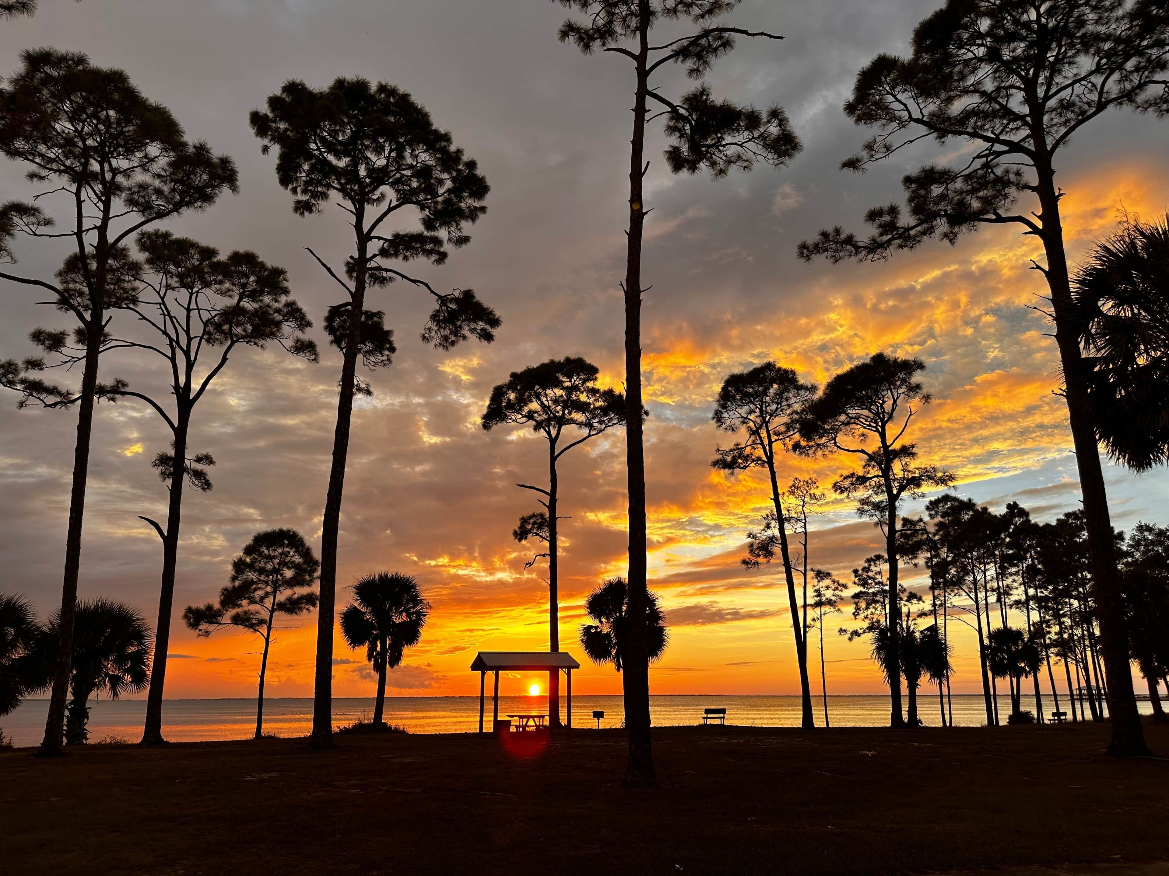 المنطقة المحيطة بالمنشأة