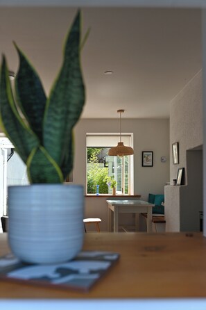 Une plante en pot posée sur une table, un coin repas avec une fenêtre et un luminaire suspendu.