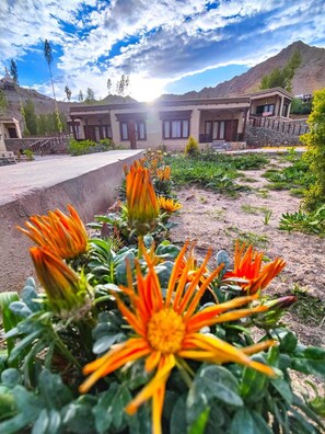 Exterior - Nirvana Retreat (Leh)