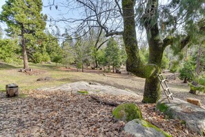 Un parc naturel avec une grande variété d’arbres, un rocher muni d’une échelle et un banc en bois.