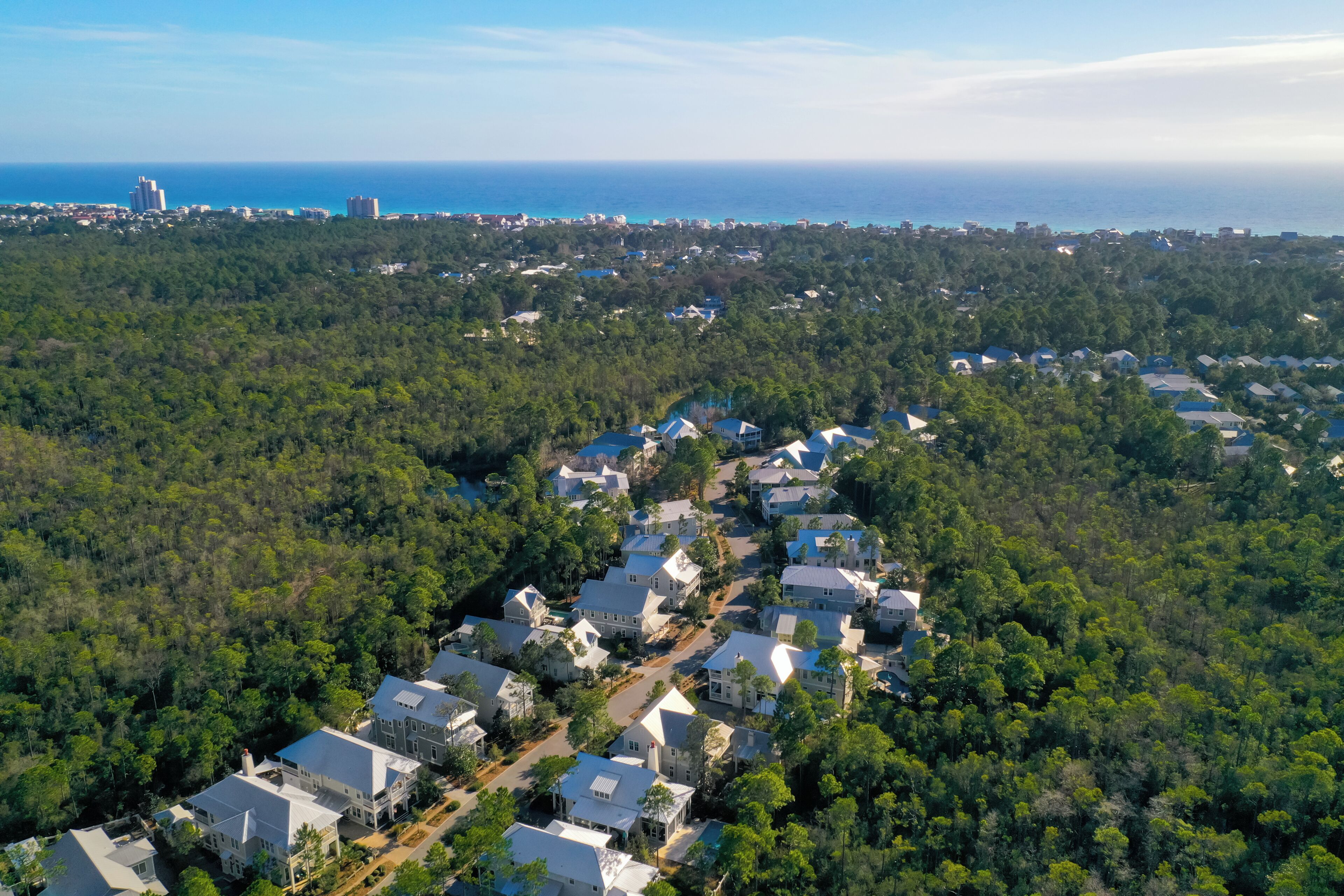 A residential area with houses surrounded by dense forest, a clear view of the ocean, and a distant city skyline.