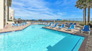 Ein Swimmingpool mit blauen Liegestühlen und Palmen.
