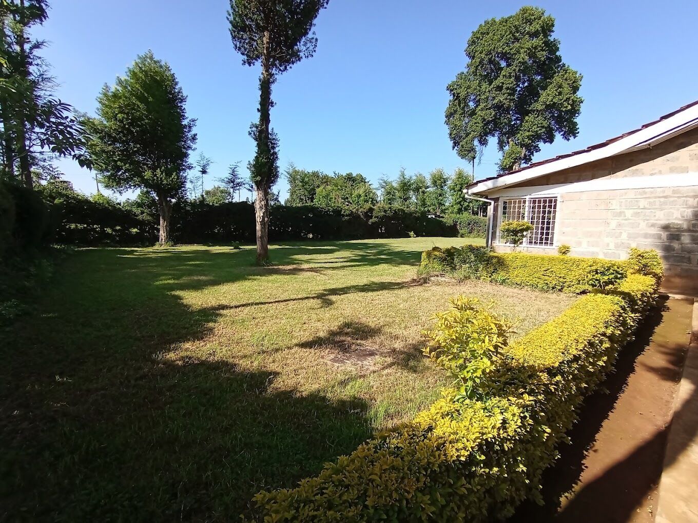 Jardin