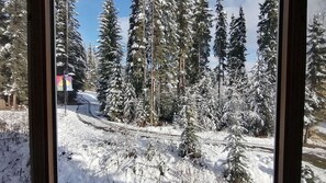 A snowy landscape with tall evergreen trees and a clear sky.