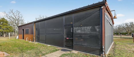 Estudio | Exterior