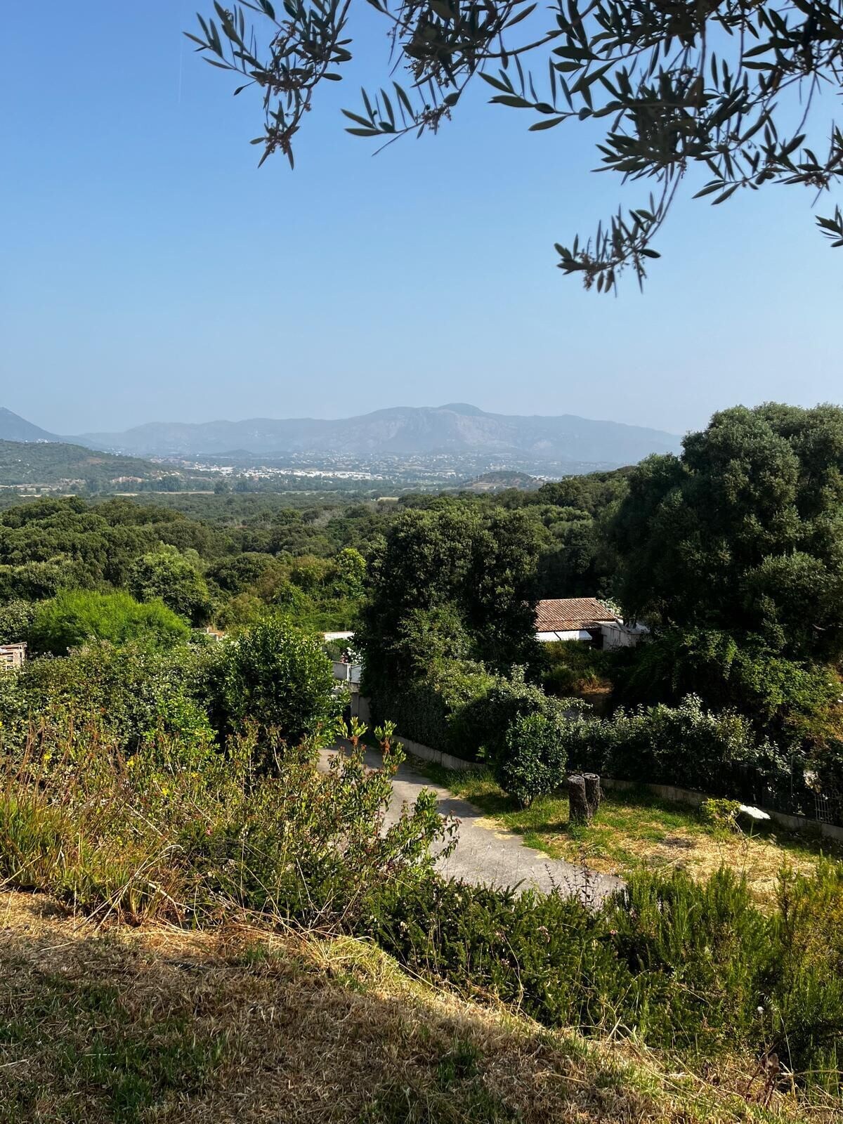 オーナーのプロフィール画像