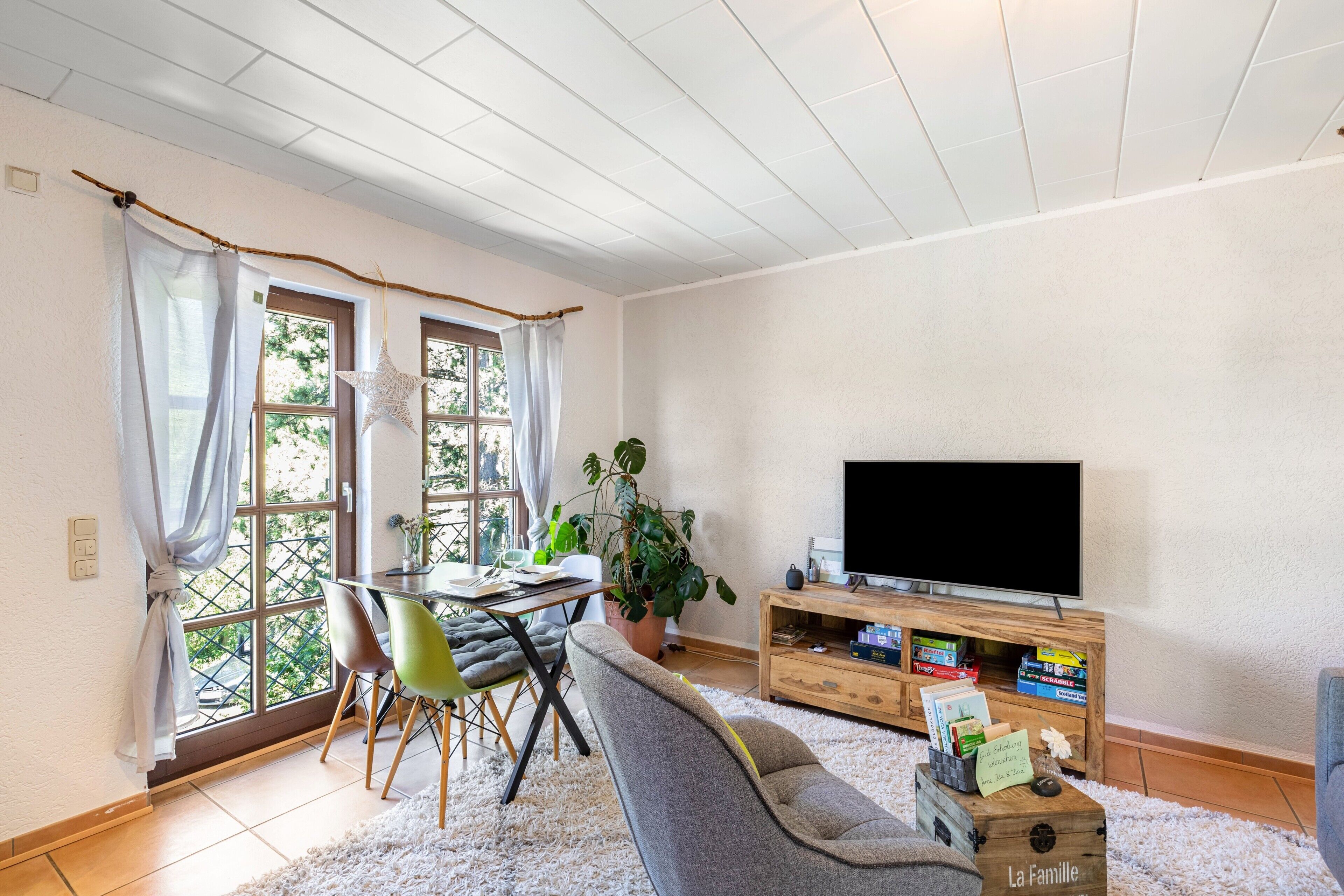 TV, fireplace