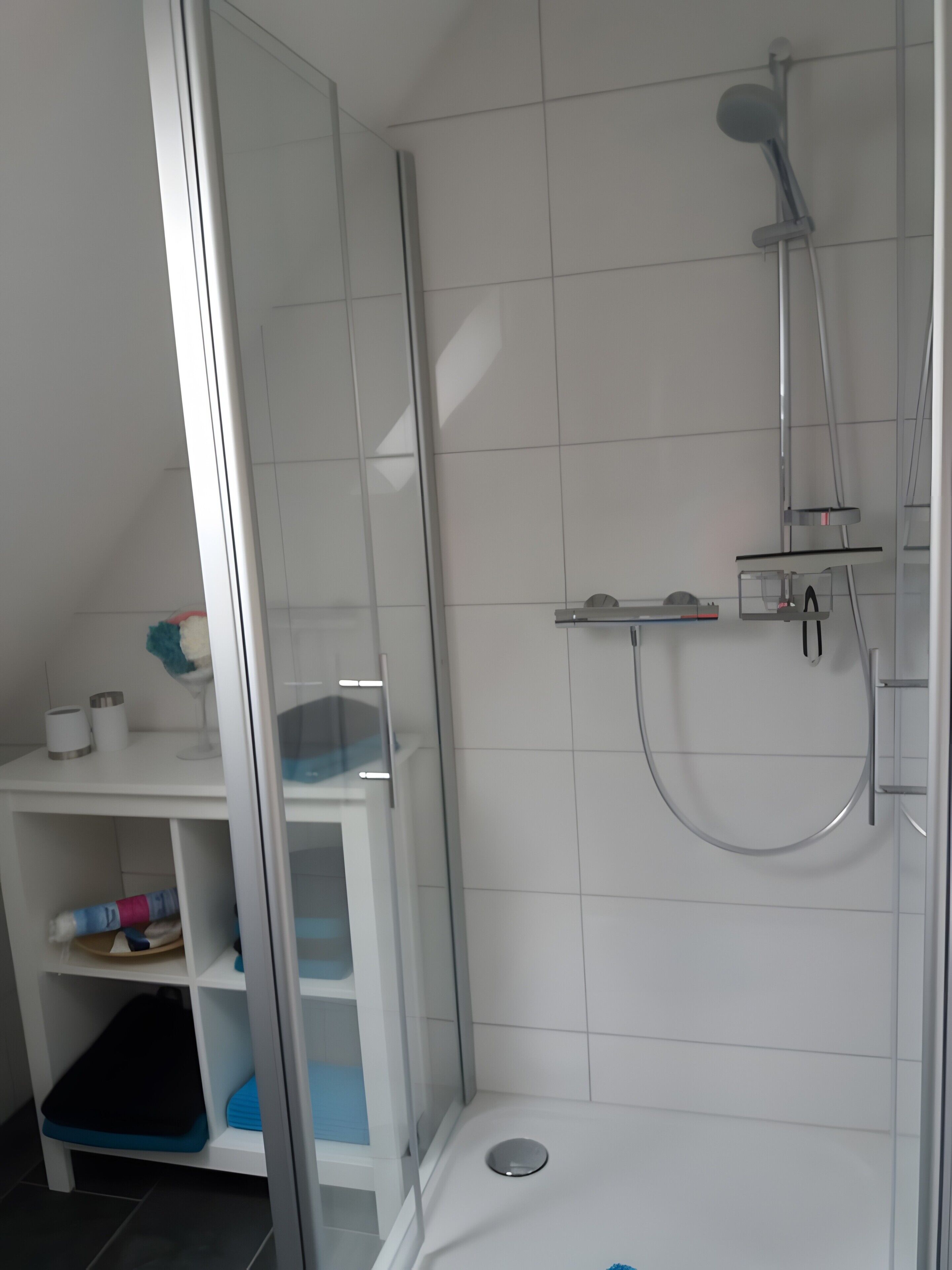 Shower, hair dryer