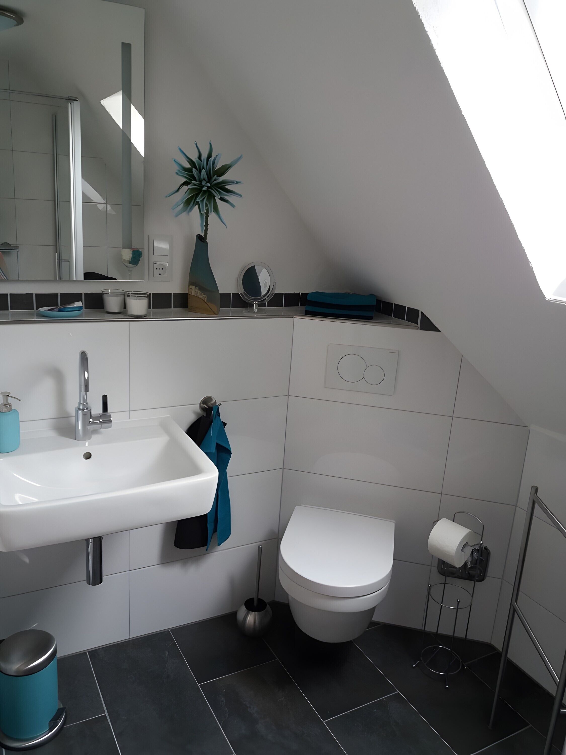 Douche, sèche-cheveux