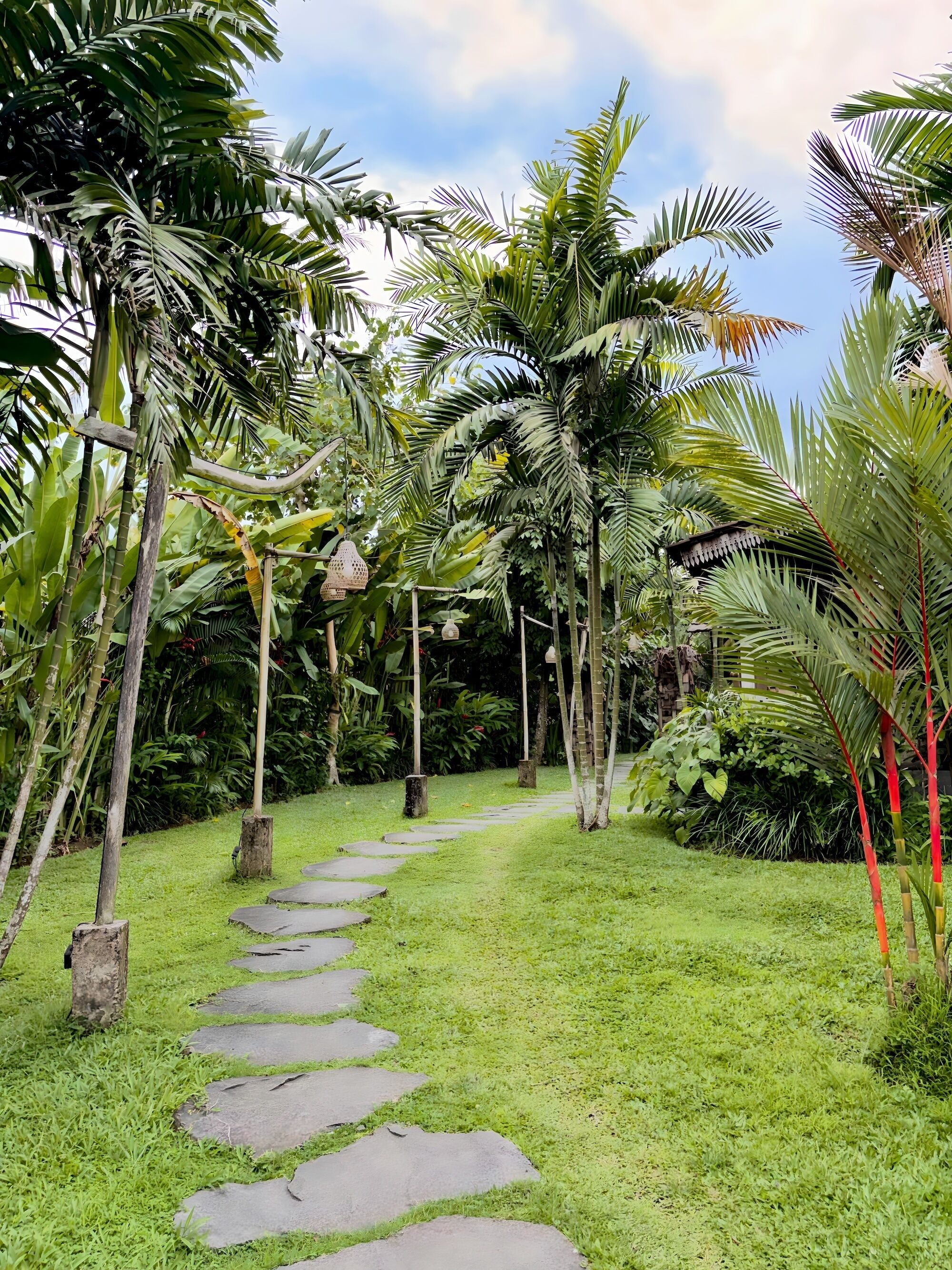A stone pathway leading through a lush garden with various tropical plants and trees.