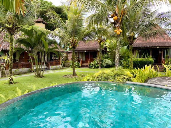 Outdoor pool - Green Space Ubud (Ubud)