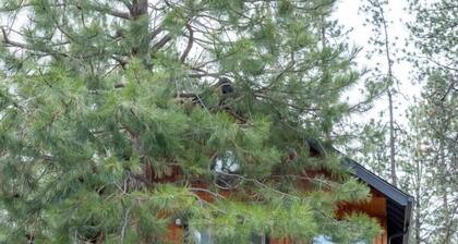 Juniper Studio | Walk to Sisters | Sleeps 2