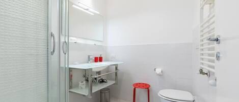 Hair dryer, bidet, towels, soap