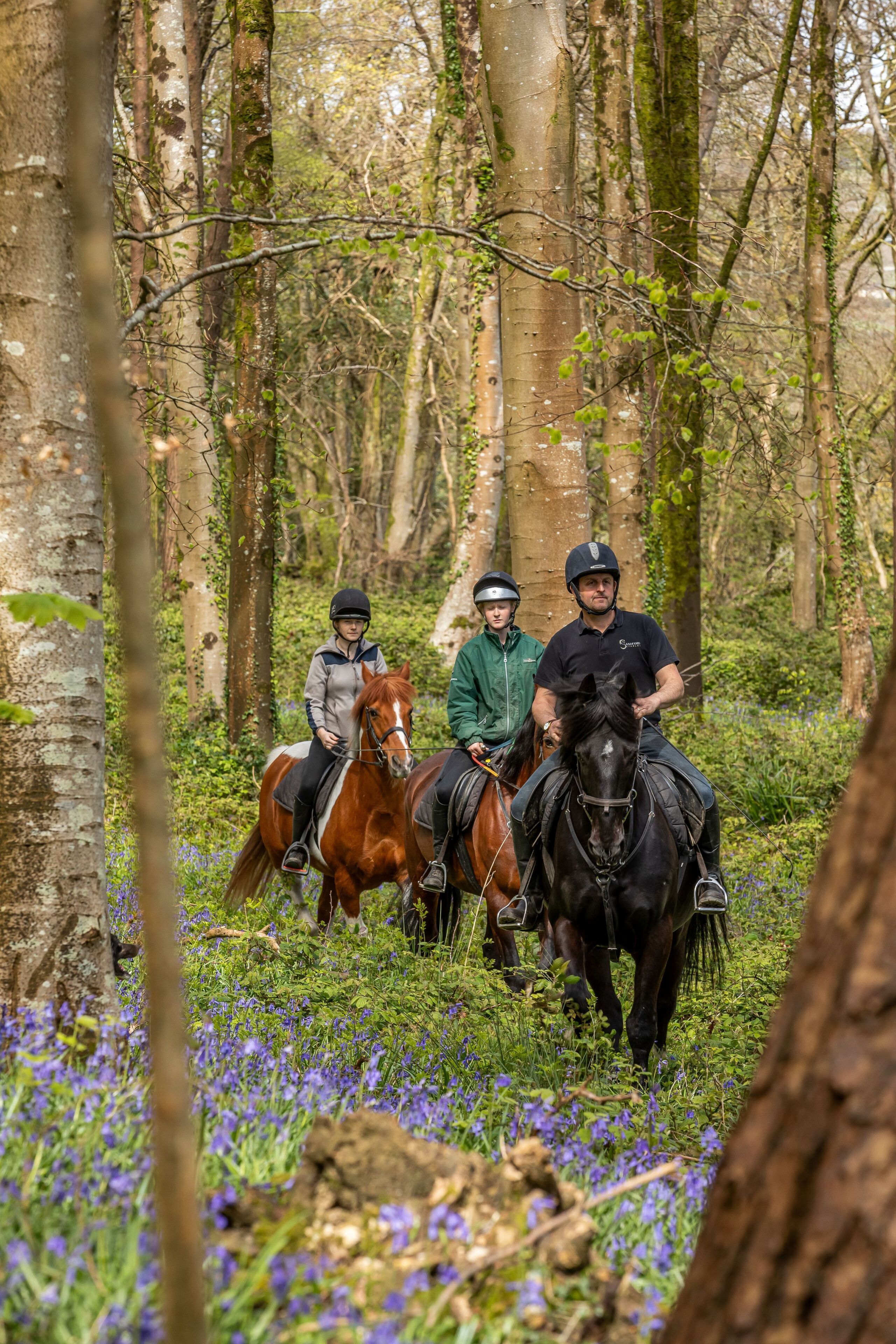 Drei Personen reiten durch ein bewaldetes Gebiet mit Bäumen und violetten Blumen.
