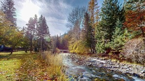 Un río fluye a través de un bosque con árboles y un puente al fondo.