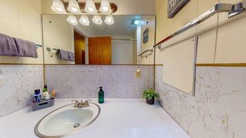 A bathroom with a white sink, a mirror, a towel rack, a shower, and a potted plant.