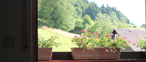 Speisen im Freien