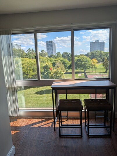 Charming 2 bedroom apartment with AC in adorable Detroit