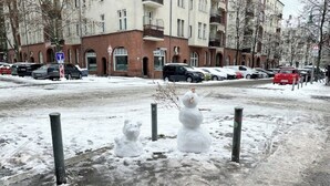 Immagine non classificata, 3 di 9, pulsante