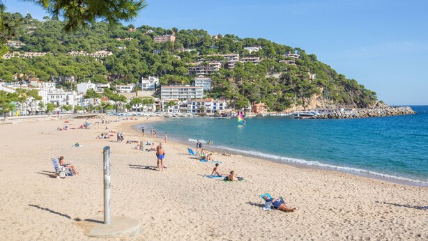 Strand
