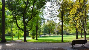 A park with a bench, trees, and a path. - Family Apartment in Berlin for 6 – Central & Quiet, Supermarket & Park Nearby (Berlin)