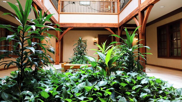 Un vaste atrium doté d’un balcon en bois, d’une végétation luxuriante et d’un espace détente.