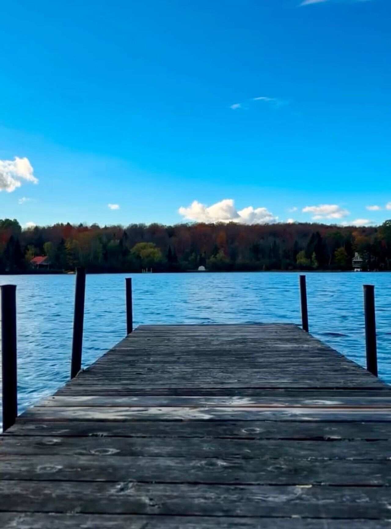 A wooden pier extending into a calm lake with a forested shoreline in the background.
