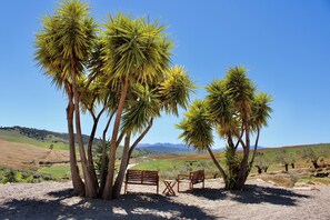 A bench and a table in a natural setting with palm trees and a hilly landscape in the background.