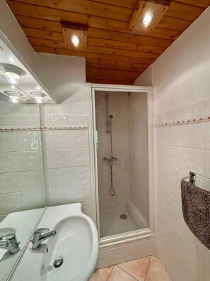 Shower, toilet paper - Apartment route de l'Altiport Méribel 5min from Rond-point des pistes (Les Allues)