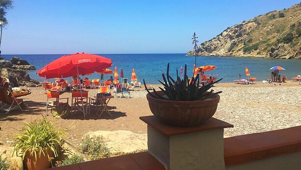 A beach with multiple sun loungers and umbrellas, a rocky hillside in the background, and a clear blue sky. - Three-room 2-bedroom apartment and sea view terrace (Rio Nell'elba)