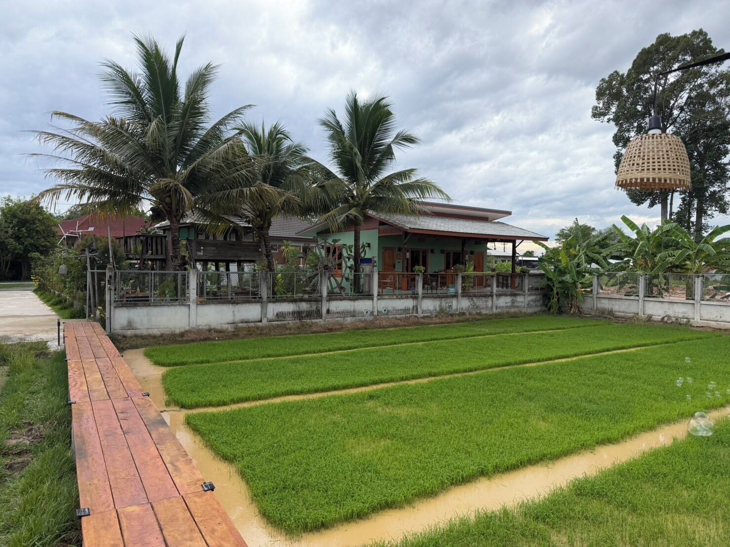 Front of property