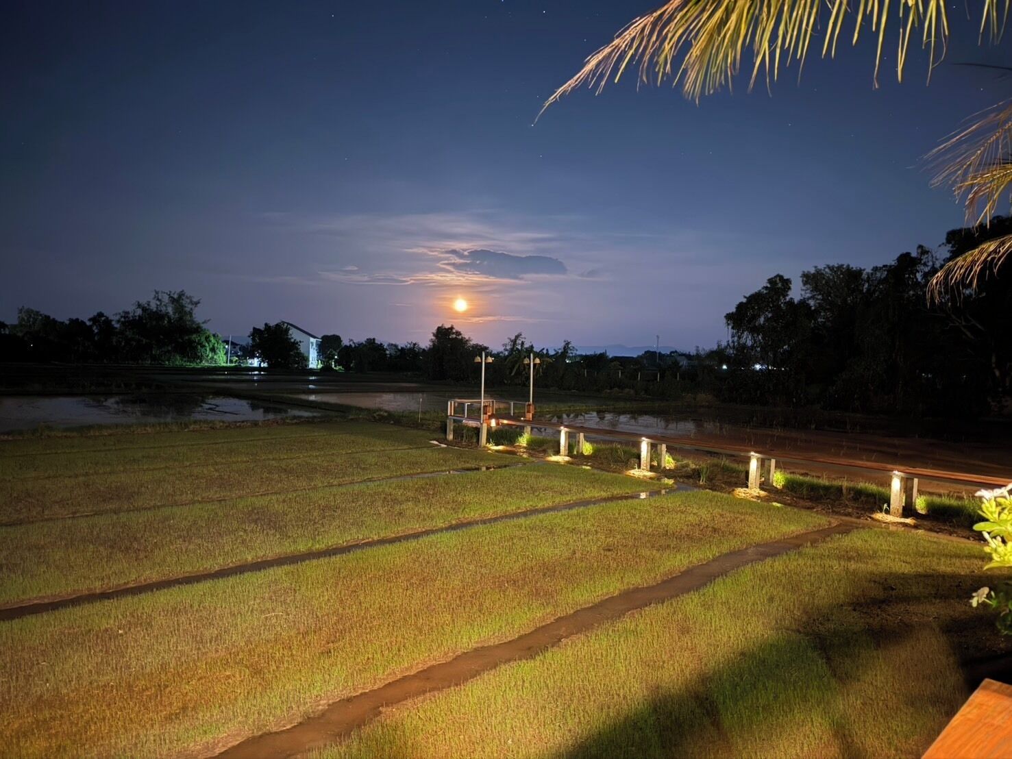 A nighttime landscape with a field, a road, and a building in the distance.
