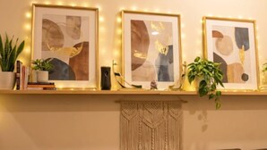 A room with a sofa set, a decorative wall with framed abstract art, and a plant on a shelf. - Yacoubian Hotels (Cairo)